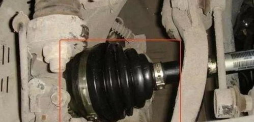 老司機(jī)忠告 這三個(gè)汽車(chē)零件越懶保養(yǎng)越好，過(guò)度呵護(hù)反成傷車(chē)元兇